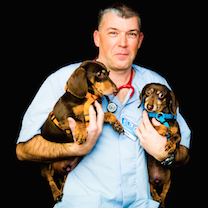 Dr-Marinkov-2 chiens